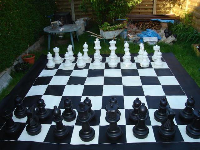 reuze schaakbord