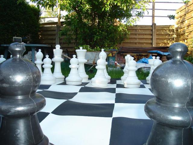 reuze schaakspel